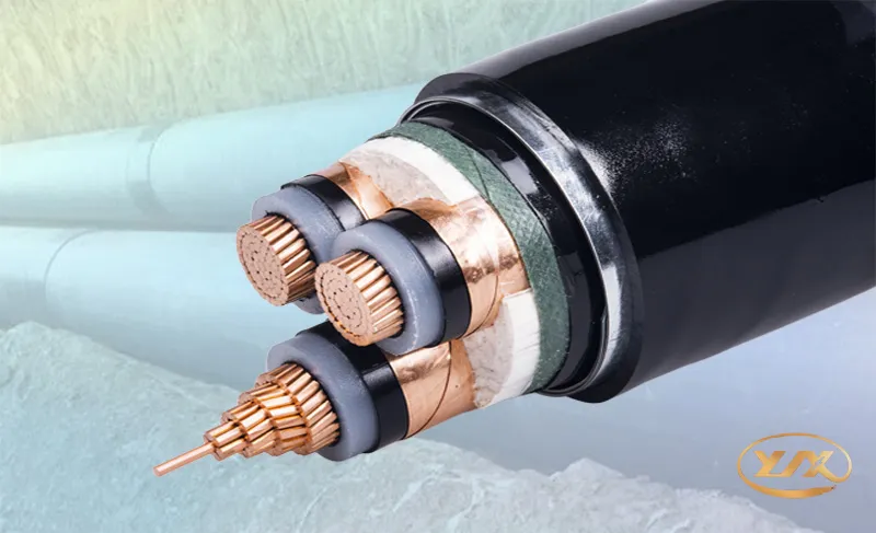 微信圖片_20240507163329 微信圖片_20240507163329