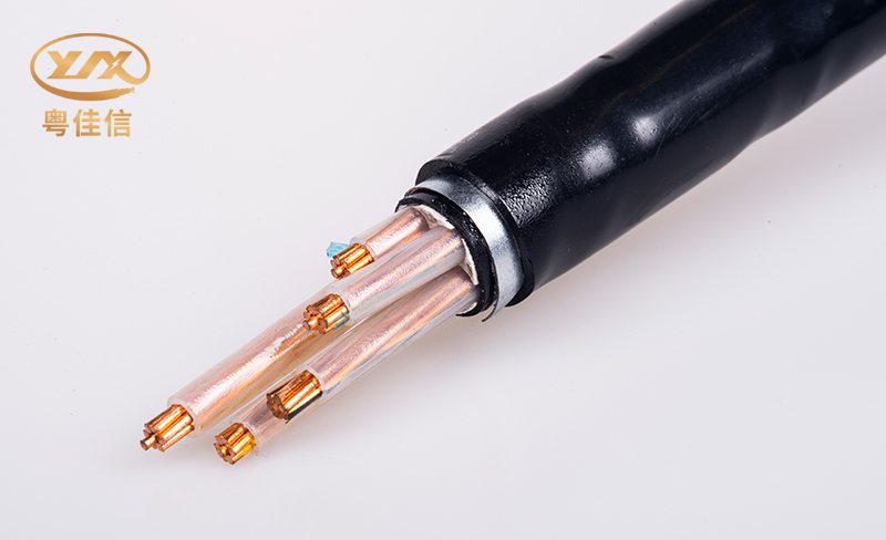 微信圖片_20250522154126