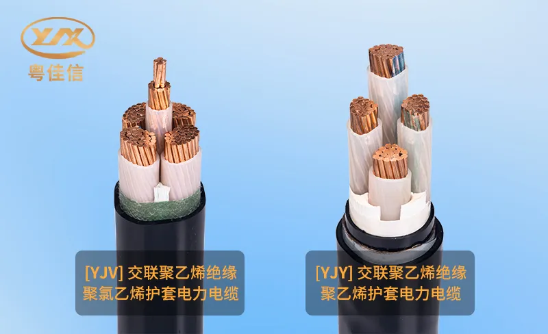 微信圖片_20251202162004_1011_45