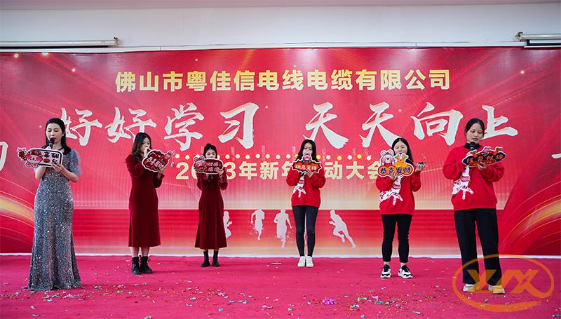 財務部-我最閃亮 財務部-我最閃亮